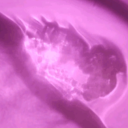 somewhataboveavg avatar