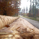 somewhere-alone avatar