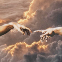 somewhere-in-the-trees avatar