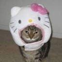 somewhere-in-thought avatar