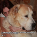 somewhere-over-huron avatar