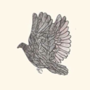 somi16 avatar
