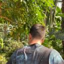 sommernachtsluft avatar