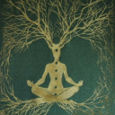 somos-amor-luz avatar