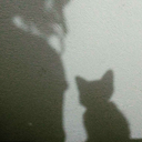 somos-efimeros avatar