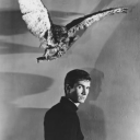 somuchsoupsposts avatar