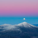 somyloveimustgo avatar