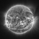 son-of-achilles avatar