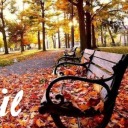 sonbaharinincisi35 avatar