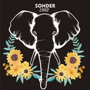 sonder1992 avatar