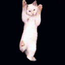 songaboutafriend avatar