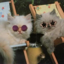 songaboutmoneybyabba-blog avatar