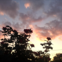 songaesthetic avatar