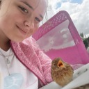 songbirds-stuff avatar