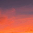 songofpurple-summer avatar