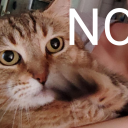 songofthevorpal avatar