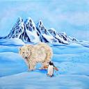 songs-and-types avatar