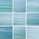 songsforsummer avatar