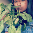 songsss4women avatar