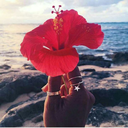 sonhos-viagens avatar