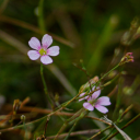 soniaoso131-blog avatar