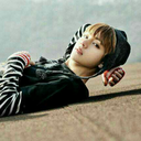 sonicbattlewolf avatar