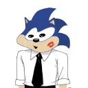 soniccoloredelegy avatar