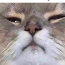 sonicplayssims avatar