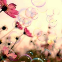 sonmussozlersandigi avatar