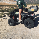 sonnenkompass avatar