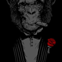 sonoannoiato-blog avatar