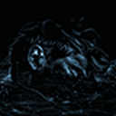 sonofcosmos avatar