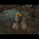 sonojncasinata avatar