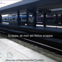 sonosolotagli avatar