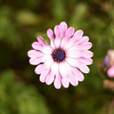 sonriememucho avatar