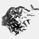 sonsuzdabinokta avatar