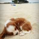 sonsuzderinmavi avatar