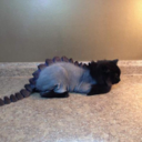 sonsuzkadaruzak avatar