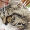 sonsuzlukkveotesine avatar