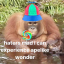 sonutcollection avatar