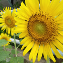 sooothisislove avatar