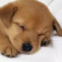 sootheyourself avatar