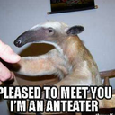 sootopolis9000 avatar