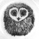 sootyowl avatar