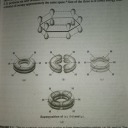 sophiaisticatechemicalcook avatar