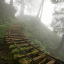 sophie-the-wise-one avatar