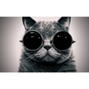 sophie-yencken avatar