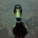 sophiecoolsblog avatar