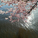 sophielidaris avatar