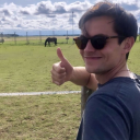 sophierequests-trashblog avatar